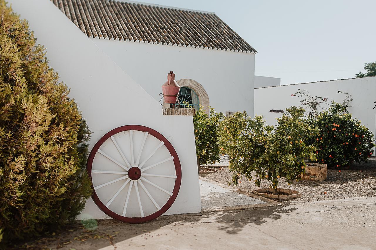 Villa Cortijo Santa Clara à Carmona  Extérieur photo